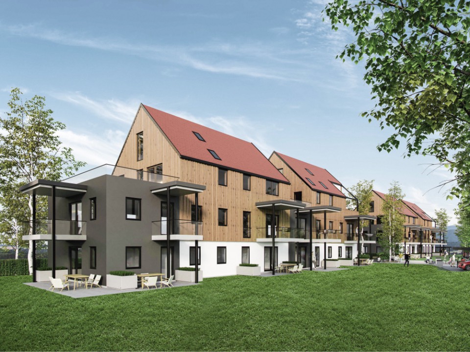 Steinz 1